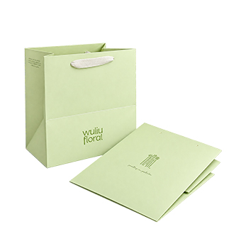 Custom Printed Gift Paper Bag