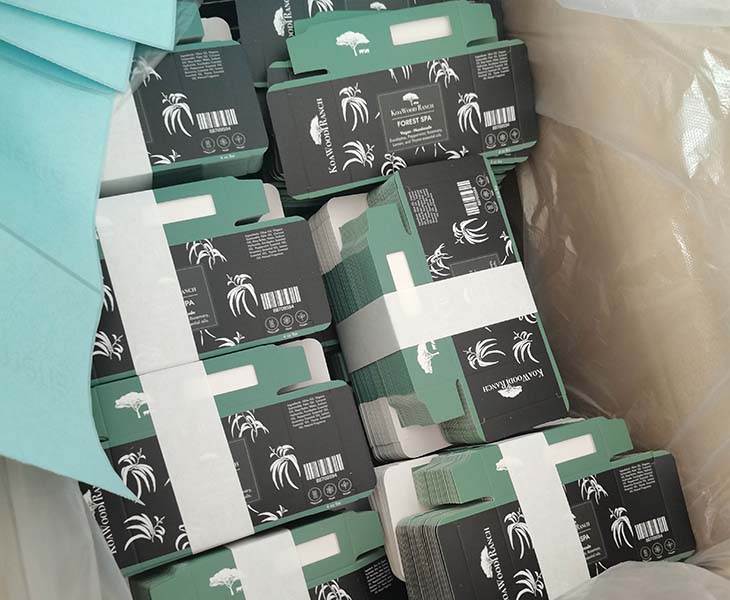 Window Packaging Presentation
